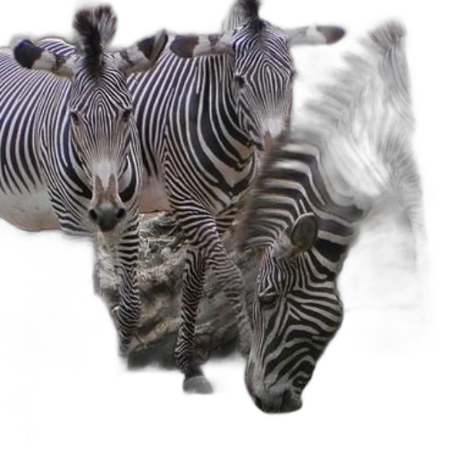 animal, creature, dragon, hair transparent PNG cut-out