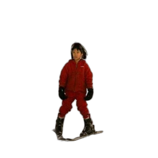 jacket, robot, staff, animal transparent PNG cut-out