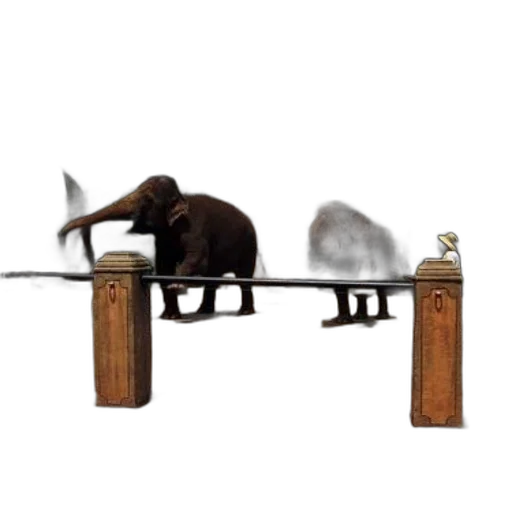 furniture, staff, weapon, animal transparent PNG cut-out