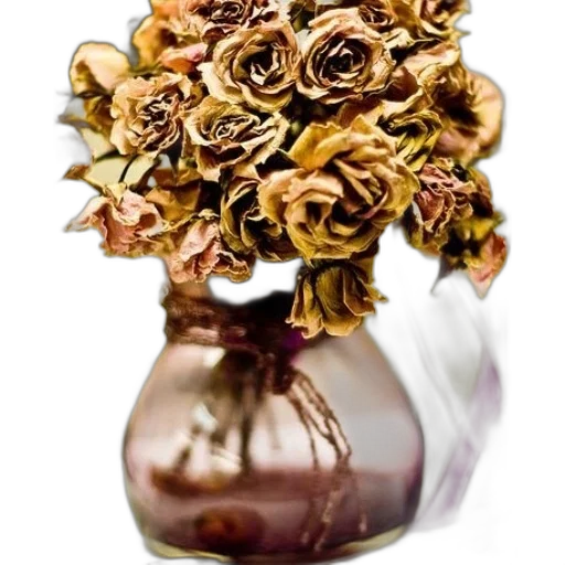 crown, flower, jewelry, bottle transparent PNG cut-out