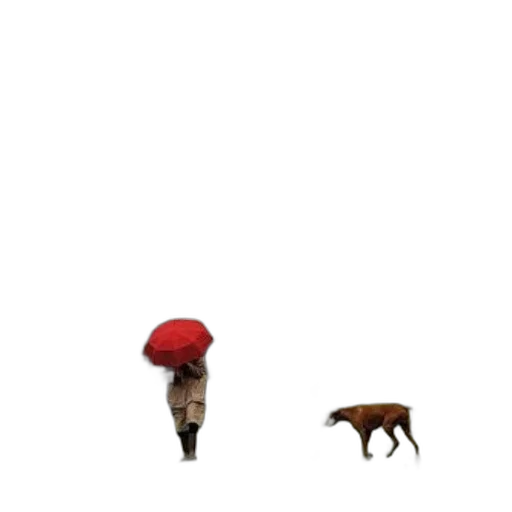 umbrella, hat, animal, creature transparent PNG cut-out