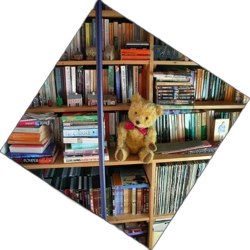 staff, umbrella, animal, hat transparent PNG cut-out
