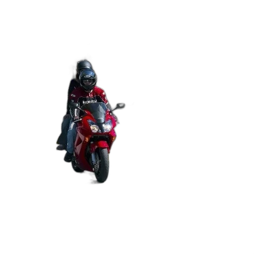 weapon, robot, jacket, animal transparent PNG cut-out