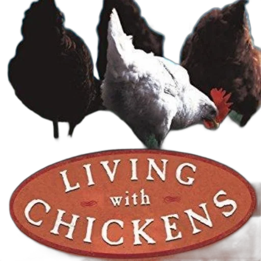 image, book, cover, titled transparent PNG cut-out