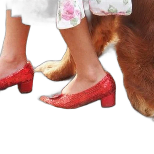 shoes, photorealistic, red, person transparent PNG cut-out