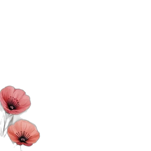 flower, weapon, crown, hat transparent PNG cut-out