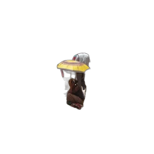 hat, staff, weapon, crown transparent PNG cut-out