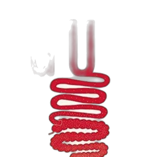 jewelry, staff, crown, hair transparent PNG cut-out