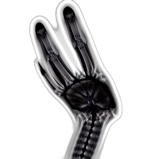 weapon, jewelry, staff, umbrella transparent PNG cut-out
