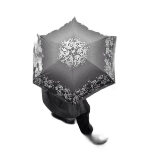 umbrella, crown, flower, jewelry transparent PNG cut-out