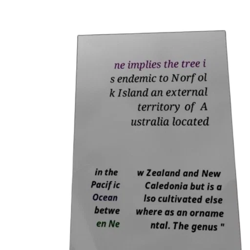 tree, image, contains, text transparent PNG cut-out