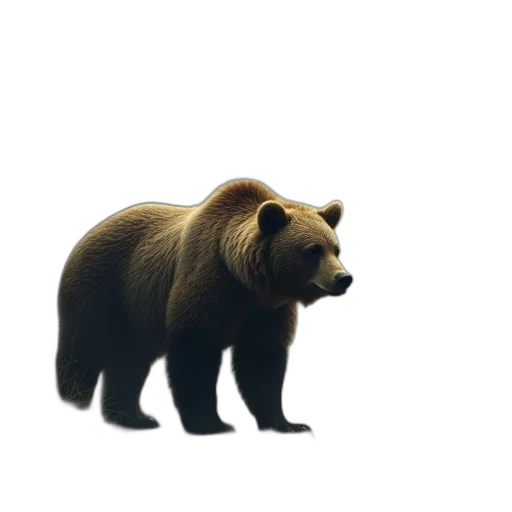 animal, creature, staff, face transparent PNG cut-out