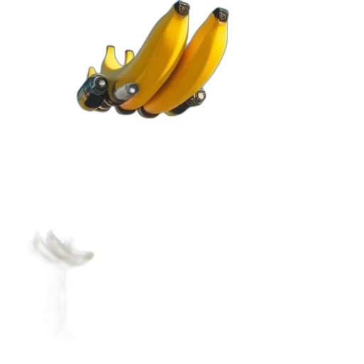 weapon, animal, food, creature transparent PNG cut-out