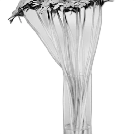 umbrella, bottle, flower, crown transparent PNG cut-out