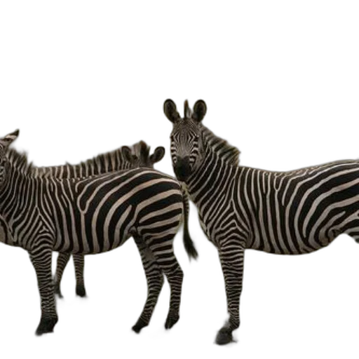 animal, furniture, jewelry, 3d render transparent PNG cut-out