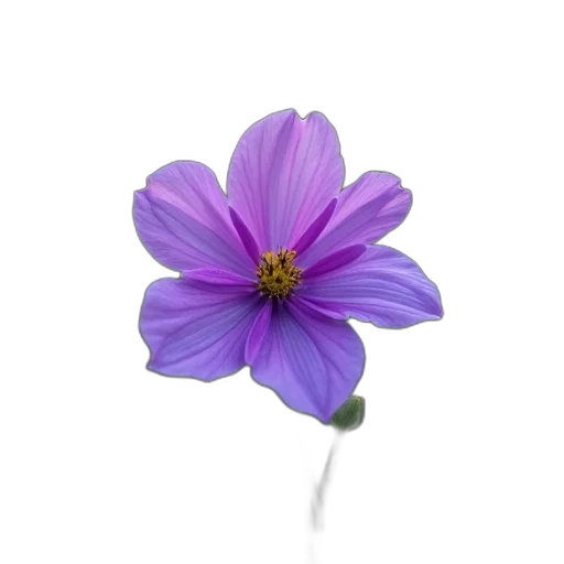 flower, crown, jewelry, staff transparent PNG cut-out