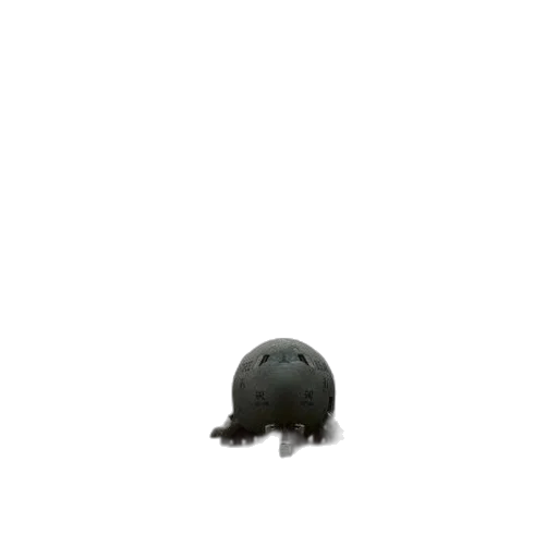 hat, creature, animal, hair transparent PNG cut-out
