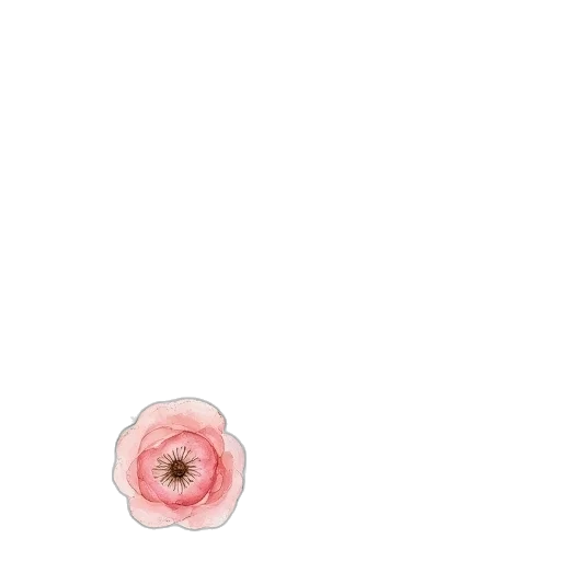 flower, crown, hat, dress transparent PNG cut-out