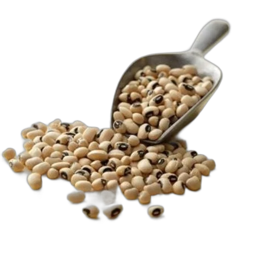 food, metal, scoop, filled transparent PNG cut-out