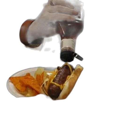 food, bottle, weapon, animal transparent PNG cut-out