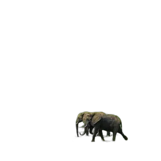 animal, creature, furniture, weapon transparent PNG cut-out
