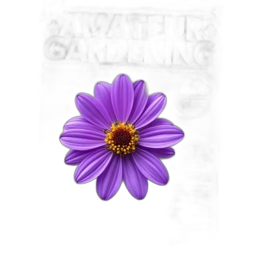 flower, jewelry, crown, staff transparent PNG cut-out