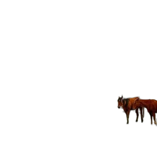 animal, furniture, creature, weapon transparent PNG cut-out