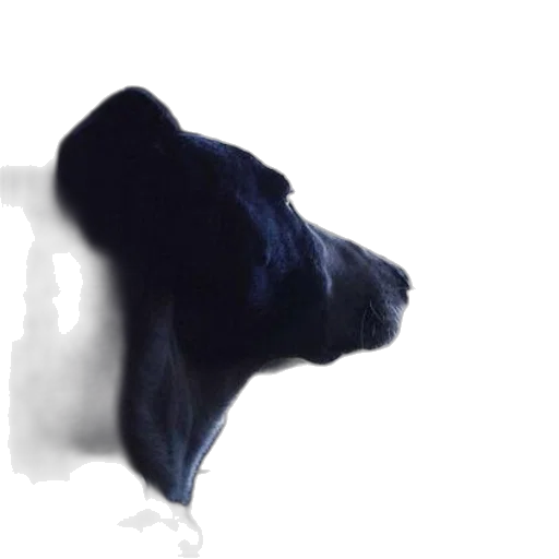 mask, animal, face, creature transparent PNG cut-out