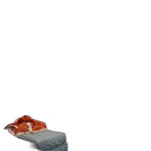 shoes, animal, hat, furniture transparent PNG cut-out