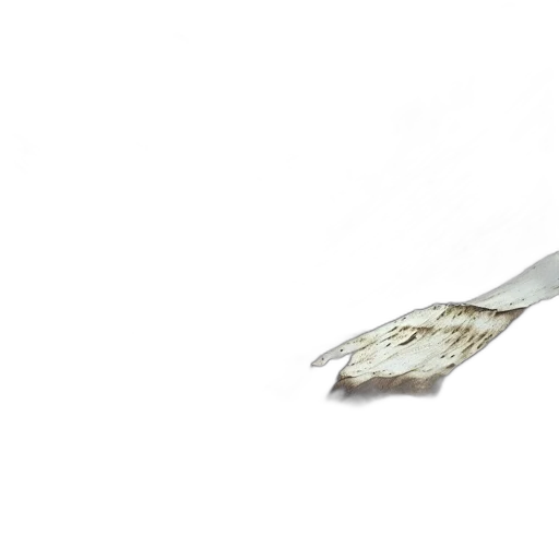 sword, weapon, jewelry, staff transparent PNG cut-out