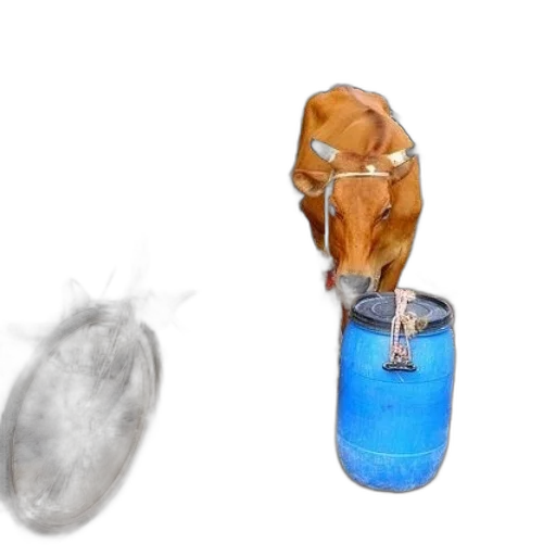 bottle, mask, food, animal transparent PNG cut-out