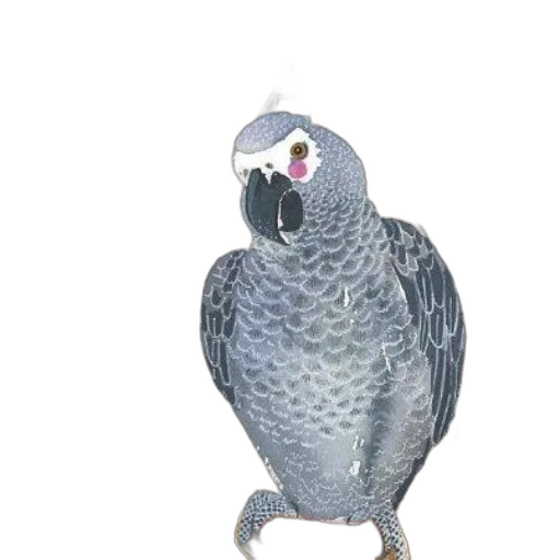 animal, jewelry, staff, creature transparent PNG cut-out