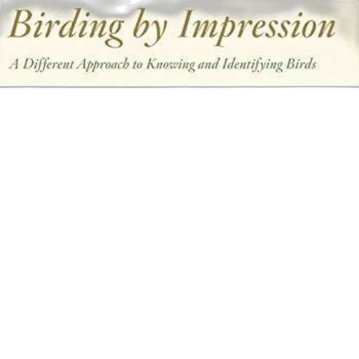 cover, birding, impression, different transparent PNG cut-out