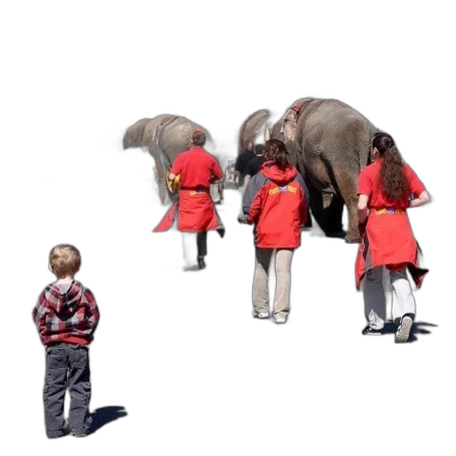 animal, staff, concept art, group transparent PNG cut-out
