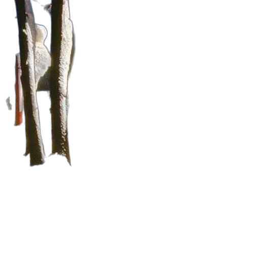 staff, tree, sword, weapon transparent PNG cut-out
