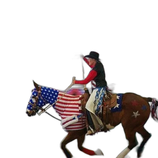 hat, animal, man, horse transparent PNG cut-out