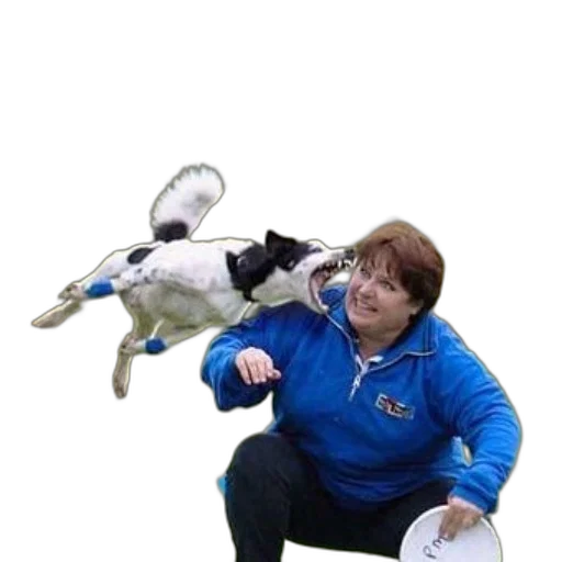 animal, staff, creature, jacket transparent PNG cut-out
