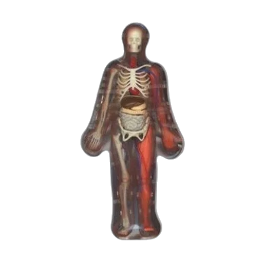 robot, staff, bottle, jewelry transparent PNG cut-out