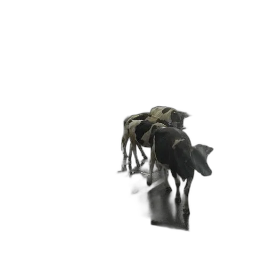 animal, creature, robot, weapon transparent PNG cut-out