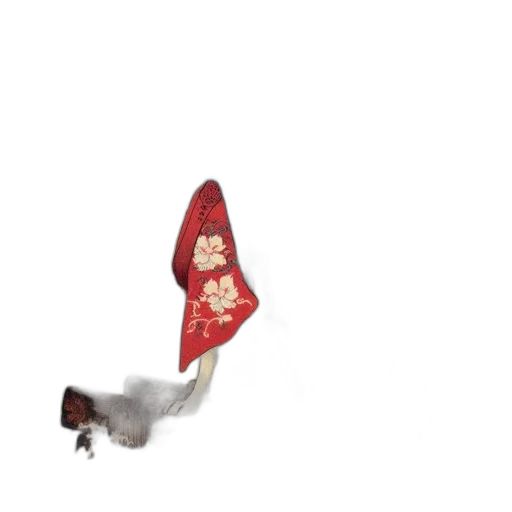 shoes, staff, crown, hat transparent PNG cut-out