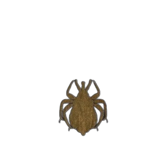 crown, mask, animal, creature transparent PNG cut-out