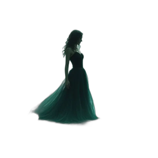 dress, crown, jewelry, hair transparent PNG cut-out