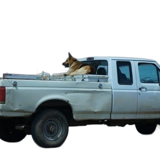 car, animal, weapon, staff transparent PNG cut-out