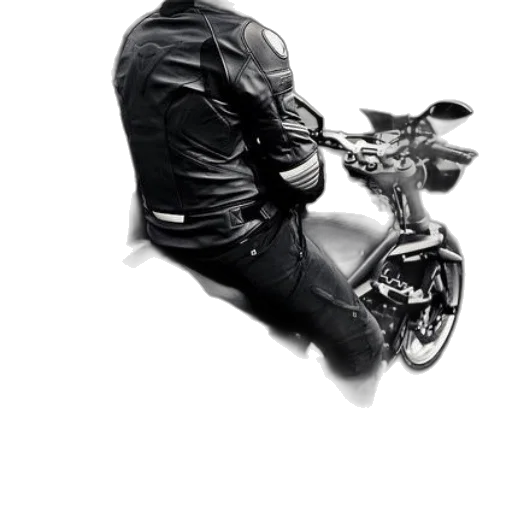 jacket, weapon, animal, face transparent PNG cut-out