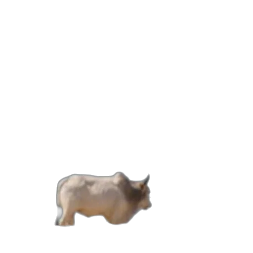 animal, creature, weapon, food transparent PNG cut-out