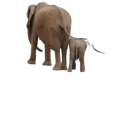 animal, creature, staff, weapon transparent PNG cut-out