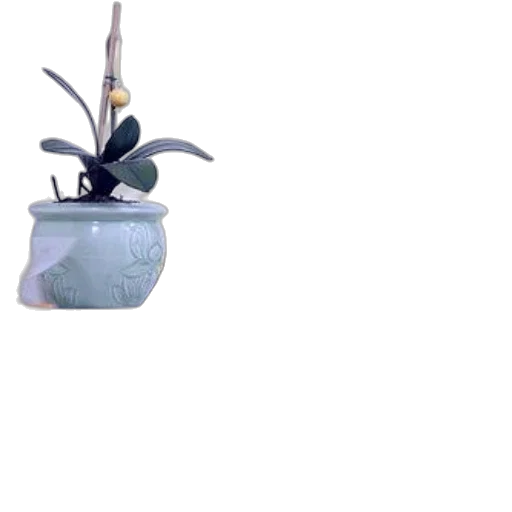 flower, staff, crown, hat transparent PNG cut-out