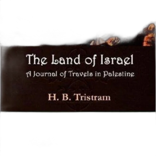 land, israel, journal, travels transparent PNG cut-out