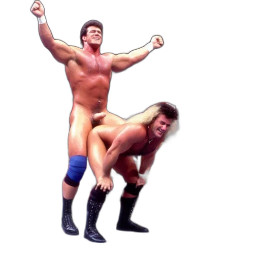 two, males, engage, wrestling transparent PNG cut-out