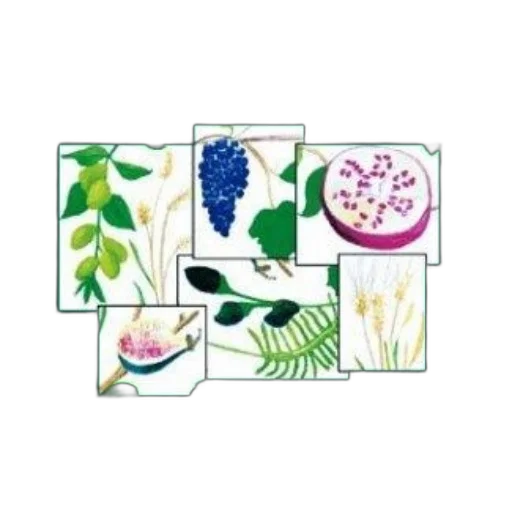 flower, jewelry, food, crown transparent PNG cut-out